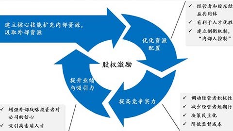 非上市企业股权激励解决方案