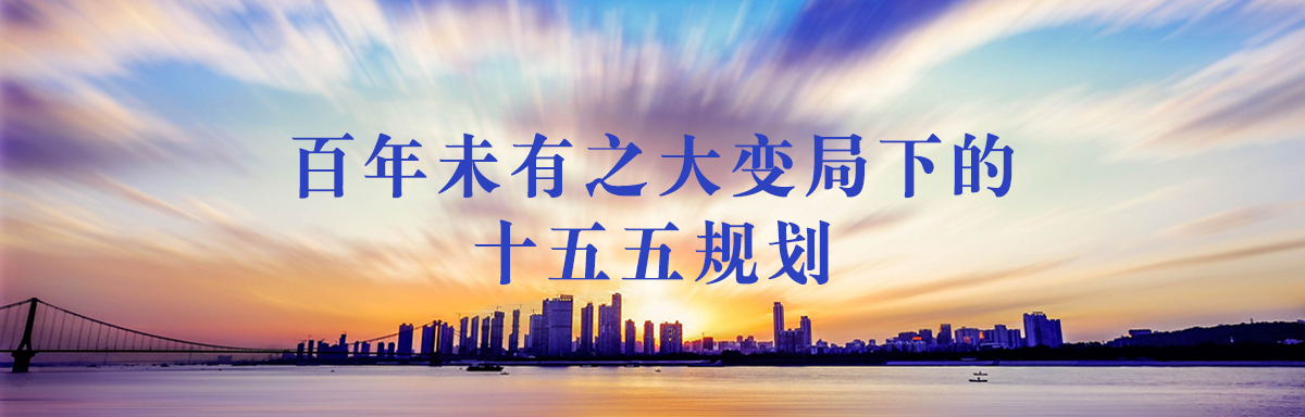 十五五规划白皮书